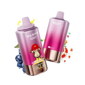 【WASPE100000】電子タバコ使い捨てWaspe&Remit100000パフス4in1デュアルメッシュコイルType-C充電持ち運びシーシャ10フレーバー人気ニコチン無しタール無しベイプ