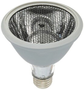 �r�o���A�J�[�{���q�[�^�[60W