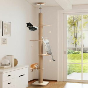 PAWZRoad�L���b�g�^���[�˂�����ؐ��S�ʖ��R�܌������a10.5cm�ɑ��X������^�L�p�L�^���[�ؖڒ��Ėؓo��^���[������ꑽ�������N���A�{�E���F���D�t������~�߃}�b�g��������o��₷�c