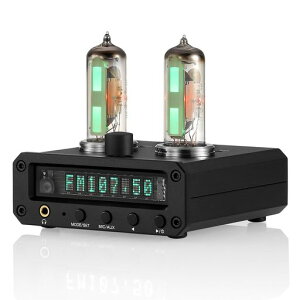 Nobsound P2-FM 6E2 �^��� �v���A���v �X�e���I �w�b�h�z���A���v �T�E���h���x���C���W�P�[�^�[ FM���W�I ���v clock �N���b�N MIC/AUX �u�����v