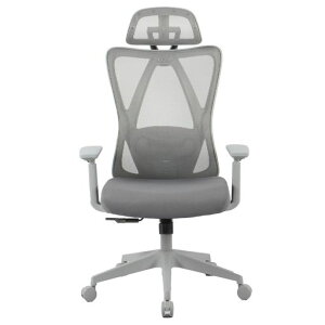 FLEXISPOT �I�t�B�X�`�F�A �f�X�N�`�F�A C5 ���@�\���� ���b�L���O�@�\ �Œ�\ ���㒲�߉\ 2D�����o�[�T�|�[�g ���b�V���f�� �������� 3D�A�[�����X�g 2D�w�b�h���X�g �ݑ�Ζ� (�E���^��,�c