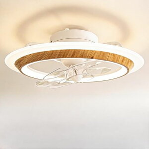 �y�I�V�������f���zTENKOO&YOU�V�[�����O�t�@�����C�g������6~8��56cm4000lm60Wled�t�@���t���Ɩ��T�[�L�����[�^�[150W������@�y���t��]�E�Ă��~������UP�zAPP����2.4G�����R���t��