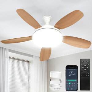 SUKITEN�V�[�����O�t�@�����C�g8-10��81cm�y2026�N�ŐV�i���E��^�E�啗�ʁE���t��]�zE26LED�t�@���t���Ɩ�5000lm44W���^�É��O��DC���[�^�[���ږ��i�K�������FAPP���䃊���R���t���^�C�}�[