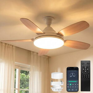 SUKITEN �V�[�����O�t�@�����C�g 8-10�� ��81cm �y2026�N�ŐV�i���E��^�E�啗�ʁE���t��]�z E26 LED �t�@���t���Ɩ� 5000lm 44W ���^ �É� �O��DC���[�^�[���� ���i�K�������F APP���� �����R���t�� �c