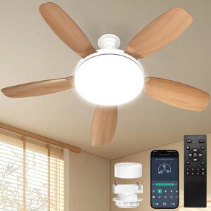 TENKOO&YOU�V�[�����O�t�@�����C�g�y�啗�ʁE����ʁz��81cm5000lm44W8~10��E26��@LED�t�@���t���Ɩ����t��]��^APP/2.4G�����R���t��DC���[�^�[���i�K�������F3�K�i���ʒ��^�C�}�[�ȃG�l