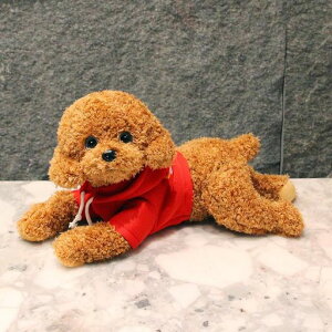 �g�C�v�[�h���������ʂ�����ݓY���Q�N�b�V�����C�k���ʂ�����݂ӂ�ӂ�������ߐ����q���a�����v���[���g�A�j�}���\�t�g�g�C�����܂���35cm�����C���e���A�����D����݃X�^�C��3