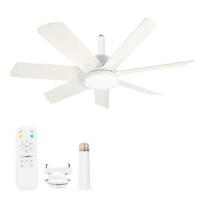 V[Ot@Cgy7H啗ʁEt]EDC[^[z2025^V[OCg@50WRt6-10E26ǃXCb`[@\~@\QaVƖ|c