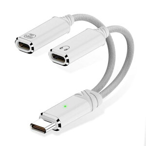 �y2026�V�Łz�C���z���[�d����Type-C�ϊ��A�_�v�^2in1���DAC����Hi-Fi����PD100W�}���[�d�Ή�iPhone1516iPadProHUAWEI