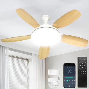SUKITEN�V�[�����O�t�@�����C�g8-10��81cm�y2026�N�ŐV�i���E��^�E�啗�ʁE���t��]�zE26LED�t�@���t���Ɩ�5000lm44W���^�É��O��DC���[�^�[���ږ��i�K�������FAPP���䃊���R���t���^�C�}�[