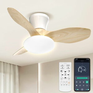 SUKITEN�V�[�����O�t�@�����C�gLED52W4500lm8-10��80cm�t�@���t���Ɩ��������FDC���[�^�[���ڐ��t��]�ߓd���[�h�É�6�i�K���ʃ������[/�^�C�}�[�@�\APP/2.4G�����R���t���ȒP���t���^�C�v