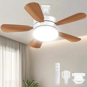 y[Et]E^zSUKITENV[Ot@Cg28WV[OCg@120W3000lmDC[^[yǃXCb`[@\ǉzE26^C}[@\Rt6-8c