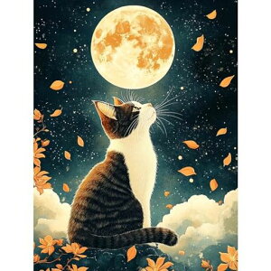 Fluiddragon_ChA[g5DUCNA[g_CAhr[YGLbgDIYEG|Lbg_ChhSʓ\t^Cv|Lbg(296)