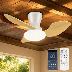 �y�ɐÁE�����zTENKOO&YOU �V�[�����O�t�@�����C�g 52W 4,500lm ��^ ��80cm 8~10�� led �t�@���t���Ɩ� �V���@ ���F���� DC���[�^�[ ���t��] 6�i�K���� �����F �����F �d���F ������/�^�C�}�[�@�\