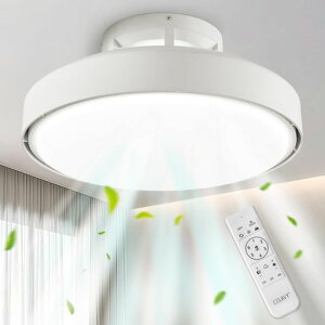 CELAVYシーリングファンライト8~12畳ledファン付き照明50cm扇風機正逆回転節電にシーリングファンDCモーター無階段調光調色常夜灯6階段風量調整タイマー機能空気循環冷暖室に適用高輝度省…