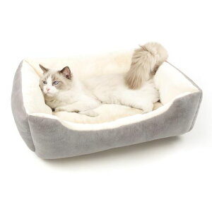 Peto-Raifuybgxbhӂӂybgxbh~pybgxbhLxbh~pLNbVybgpxbhL~QܔL΍qLpQybg\t@~ߑ@\g}bg􂦁c