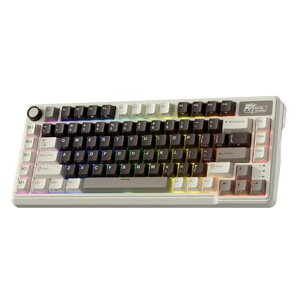 RKROYALKLUDGEL75���J�j�J���L�[�{�[�h�A�K�X�P�b�g�A�Z���u���A�{�^��/�}�N���L�[�A�^�b�`�\�l�[���v���[�g�A�g���C���[�hBT/2.4G/USB-C75%