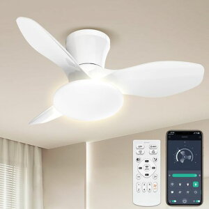 SUKITENV[Ot@Cgled52Wt@tƖV@4500lm150W7~1080cmKiFDC[^[t]ߓd[h6iKߒFFdF/^C}[@\