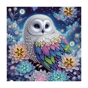 Fluiddragon�_�C�������h�A�[�g���S��5D���U�C�N�A�[�g�_�C�A�����h�r�[�Y�G��L�b�gDIY�E����G���|�L�b�g�_�C�������h�h���S�ʓ\��t���^�C�v��|�L�b�g(Y028)