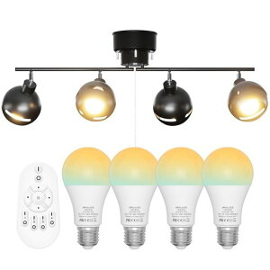 ORALUCEV[OCg4X|bgCg6E26ꃌgVƖy_gCgRtXCb`pxߐ܂肽݉_CjOrOamkÒAubN(dc