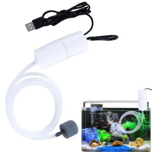 DEVENTORZGA|vpUSBق̎_f|vyʐÉ|[^uA֗Ȏ_f^|vނAفAȂǂ(zCg)