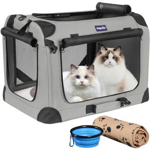 PetprscoybgP[WP[WLL[pN[g܂肽݊ϋvό`ȂʋCeʁwxeAԍځAsAʉ@AhДALvɑ劈!x^LpEL2CEc