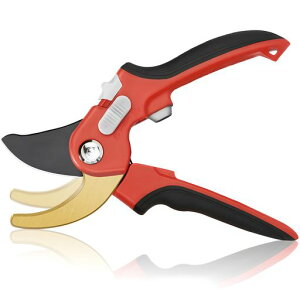 y2025lCt̂߁zoT~Bhgytec΂2iK߉\SK85Yf|A~}؂oT~|nT~p|p͂ݎKтɂJ35mmyʉA~nhc