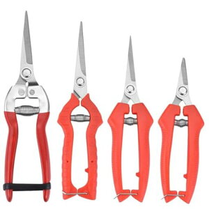 HOTQoT~~͙pԐ؂͂ݙ͂ݒ|Yf|n|nT~ŉtԐ؂͂?4_Zbg