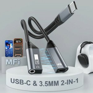 y2025C݌vz2in1CzWbNϊ^CvcCzϊA_v^USBType-Cto3.5mm34PD60W[dDACHi-FiϋvґgiCP[uʒ/ʘb/yΉ