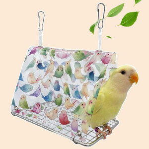 Hitasi̐QďpOpnEXCR|钹̑nbNybgpeg񂱂Vя꒹̂ᒹpi_nEXJ^o[hec