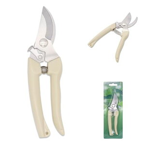 |͂݃XeXyʏ^}؃oT~~͉ʎϗtA}؂vtFbVig|p(1)