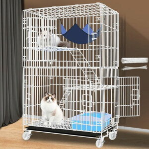 AthvchtLP[WLpP[WLnEXp^LpLړ֗gȒPhKƖhHLEh~LbgO\ȃybgpi(60*42*96cm/zCg)(pȁc