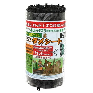 DAIM�����_���V�[�g30cmx2m���L�悯�L�����˂��悯�L�����L�悯�΍��L�悯�O�b�Y�˂��悯�V�[�g�L�����O�b�Y�L�悯�V�[�g�l�R�悯�˂��悯�O�b�Y��ǔL