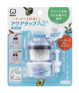 N^bN(Kurita)ANA^bvA2+{CQA2-2099