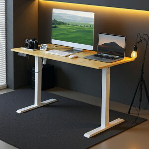 VECELO~fXNdX^fBOfXNItBX[Ne[u120xs60x70.5-113cm[@\e[NItBXfXNݑ[NVvI[N