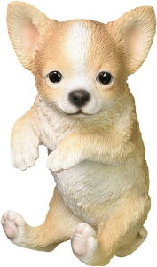 mΑnhbOI[ig(`)1420111x11x21cm