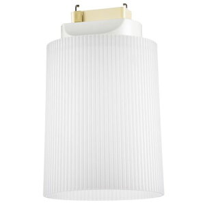 LED���^�V�[�����O���C�g �����F OHM LT-YS08-N 03-4181