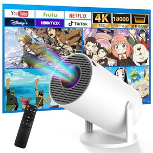 vWFN^[ƒpy2025ŐViAndroidTV12.0ځE18000LME270°]E4KΉzڑBluetooth5.41080PPx`␳ZeՂ낶[ƒpz[vWFN^[