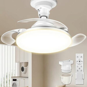 y誂H݌vzTENKOO&YOUV[Ot@Cgledt@tƖV[Ot@E26@34W5000lmyǃXCb`[@\ǉzt@CgV䃉CgƖȃGlKic