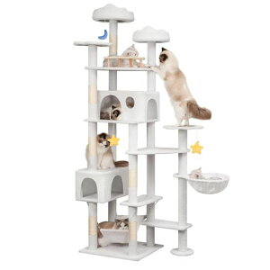 Meecal�L���b�g�^���[��^�L�p�L�^���[���������_�^���L�x�b�h�L�n�E�X�L���n�����b�N�V�R�T�C�U�����܌����|�[�������炵��ʂ�����݃L���b�g�^���[�l�C��������������u���]�|�h�c