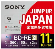 ソニー 11BNE2VPPS2 録画用BD-RE 書換え型 片面1層 2倍速 プリンタブル(11枚入)