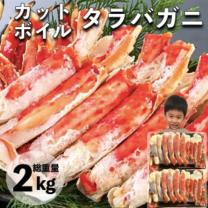 yN[|21,582~zJj  I Jbg{C^oKj 1.6kg d2kg ނg |[V Jbgς 󂠂  ΊI i Ε Ε   NNn