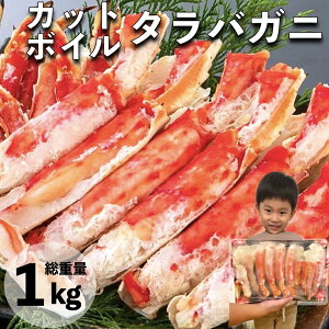 yN[|11,682~zJj  I Jbg{C^oKj 800g d1kg Jbgς ނg |[V {C Mtg Hו CN  O v[g yY 󂠂 