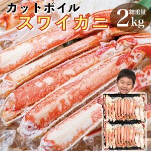 Jj  I YCKj 1.6kg d2kg {C Jbgς ނg |[V Mtg Hו CN 󂠂 Ε 킢I NNn  i   v[g yY 2025