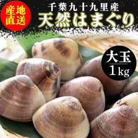 国産　天然はまぐり 大玉（千葉県九十九里産）1kg