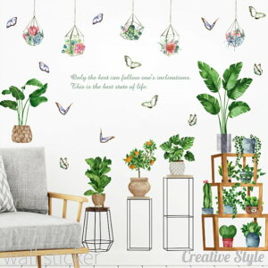 EH[XebJ[ green plants     A O[  Ǐ CeA V[ ǎ V[ k IV diy ǎ oX[ Cɓ\I v[g