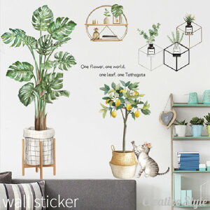 EH[XebJ[ yplants lifez     A O[  gC Lb`  Ǐ CeA V[ ǎ V[ k IV diy ǎ oX[ Cɓ\I 