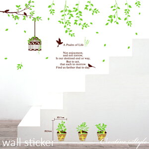 EH[XebJ[ āA  Aؔ  t Ǐ CeA V[ ǎ V[ k  A O[  IV diy C  Lb` gC Q rO  R p Creative Style 