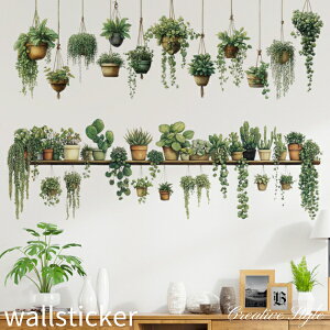 EH[XebJ[ Succulents  Aؔ    A O[  t Ǐ CeA V[ diy ǎ V[ k IV  Lb` gC Q rO  R oX[