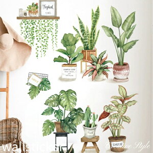 EH[XebJ[ ygreen plantsz Aؔ IV   A O[  Ǐ CeA V[ diy ǎ V[ k IV oX[ɓ\I v[g Creative Style EH[X