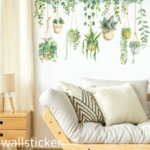 EH[XebJ[ hanging plants     A O[   Ǐ CeA V[ ǎ V[ k IV diy ǎ oX[ Cɓ\I v[g 